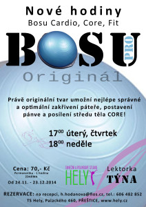 Bosu TS Hely Přeštice