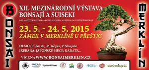 Bonsai merklín 2015