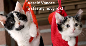 Vánoce TS HELY Přeštice